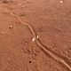 Illustration for article titled AWOL Around Australia... Part 35. The Pilbara. Part 2